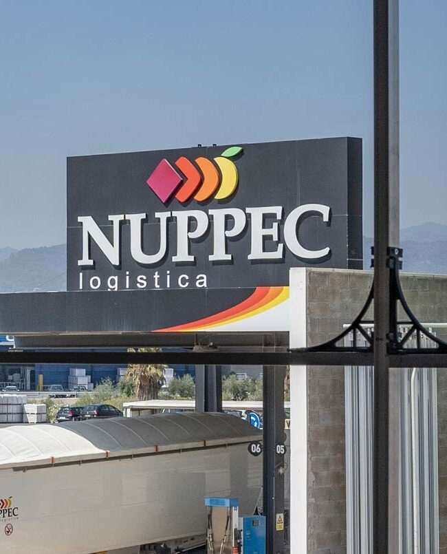 Oficinas Nuppec