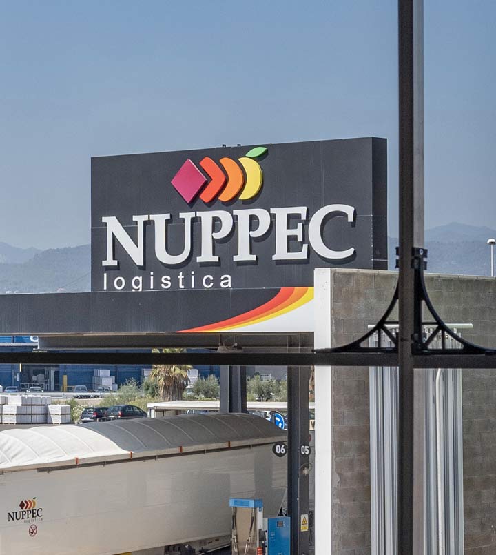 Oficinas Nuppec